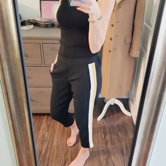 Aritzia Babaton Conan Black Pants Tuxedo Stripe - Picture 1 of 6